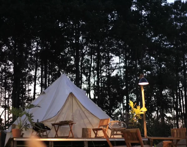 Esküvői helyszín szállással, ahol a vendégek glamping sátorokban pihenhetnek meg, az erdőhöz közel.